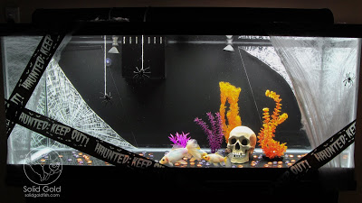 Spooky Halloween Goldfish Tank