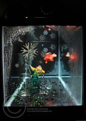 My Christmas-themed Aquarium