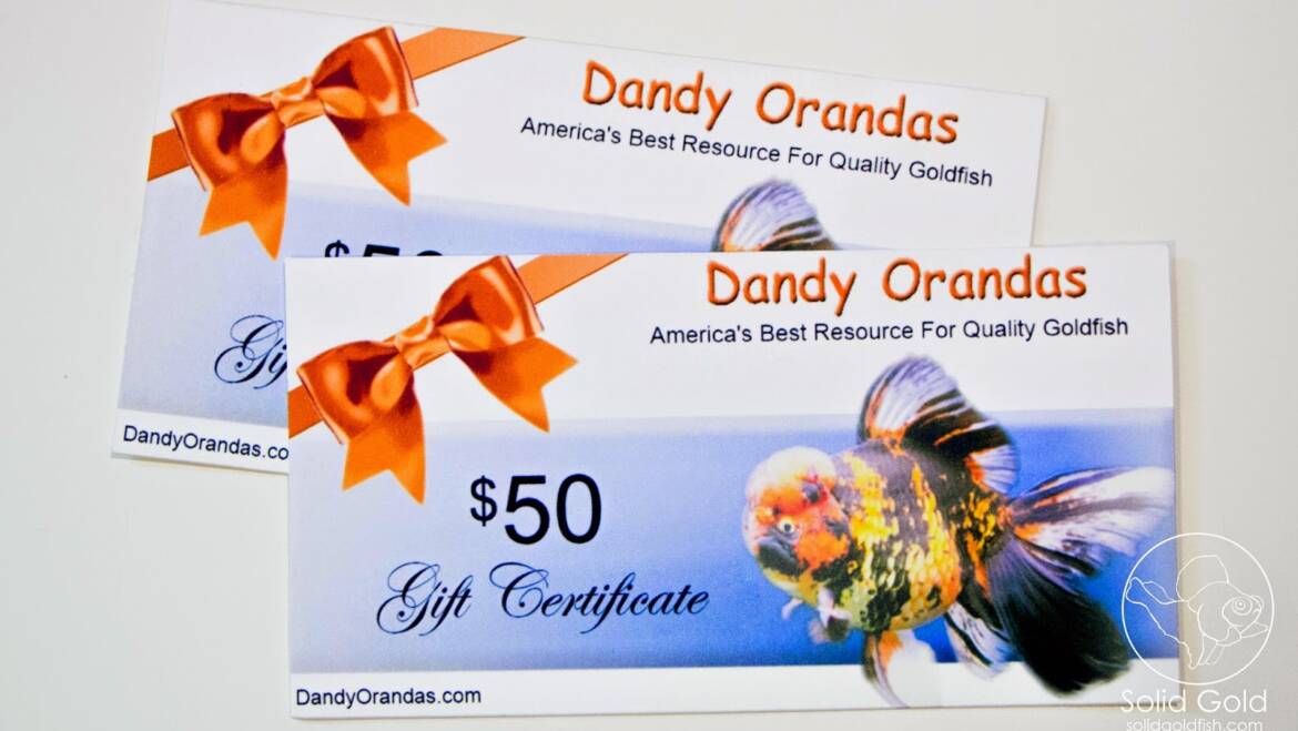 Dandy Orandas Giveaway Winners