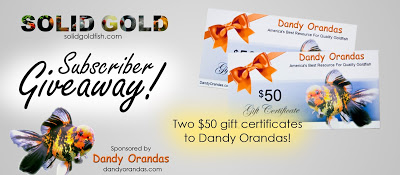 Dandy Orandas Giveaway Announcement!